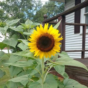 Meet your Posher, Leslie